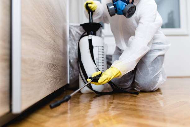 Best Best Pest Control Companies  in Candor, NC