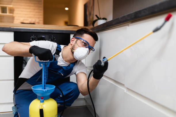 Best Rat Extermination Near Me  in Candor, NC