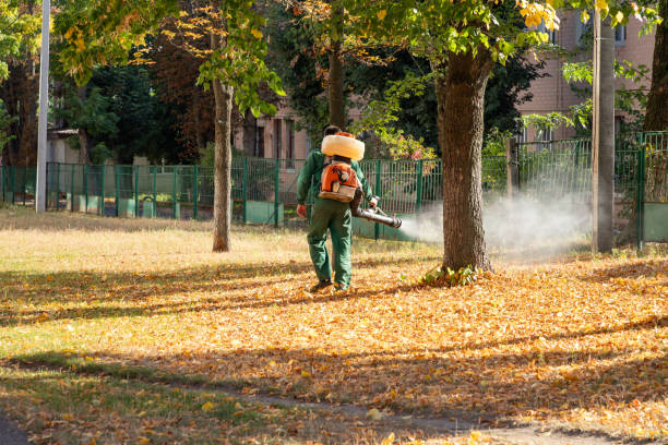 Best Commercial Pest Control Services  in Candor, NC